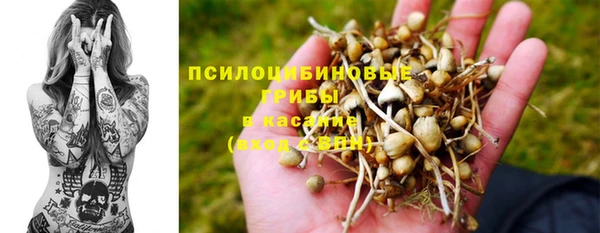 а пвп мука Балахна